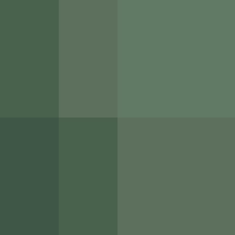 Respondents's skin
