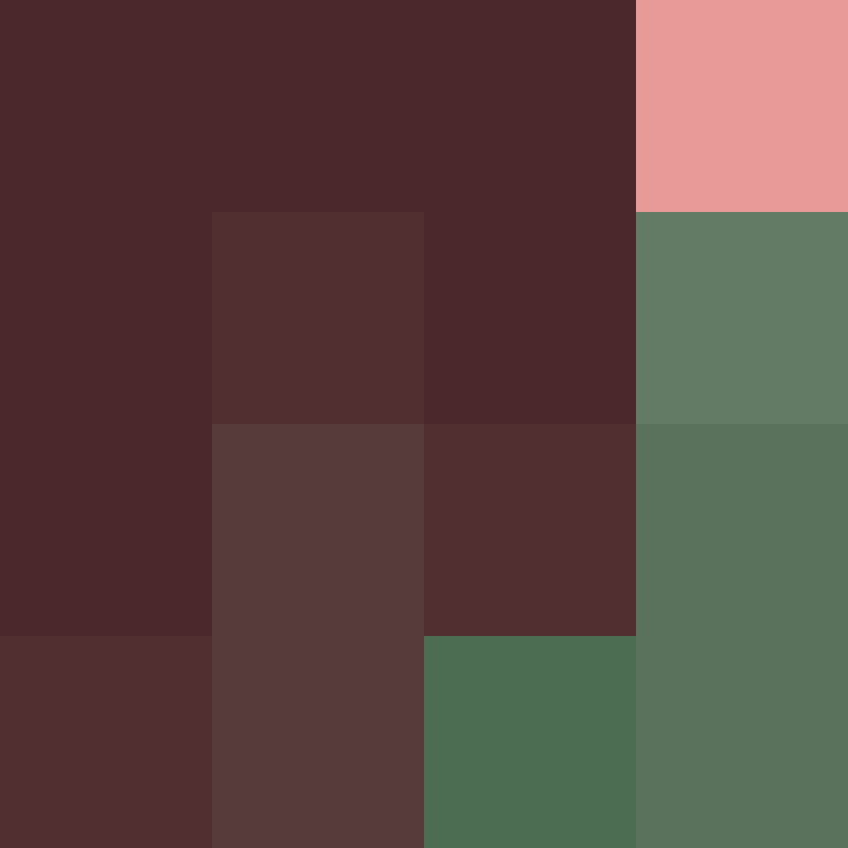 acin5's skin