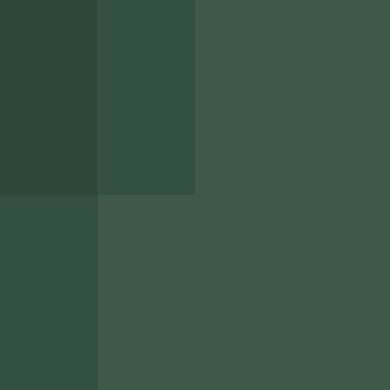 xX_No_Income_Xx's skin