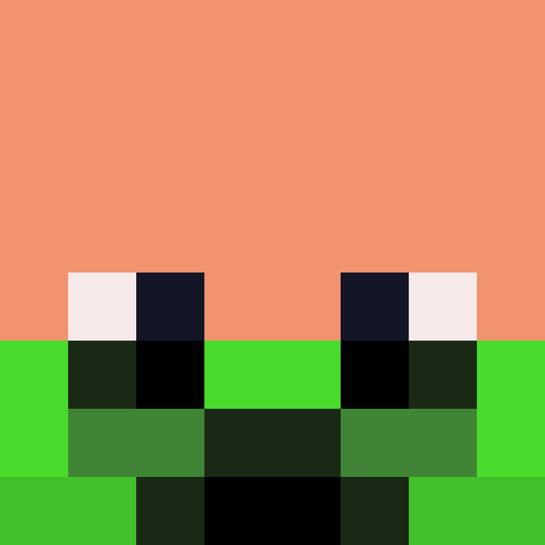 CeilingBird's skin