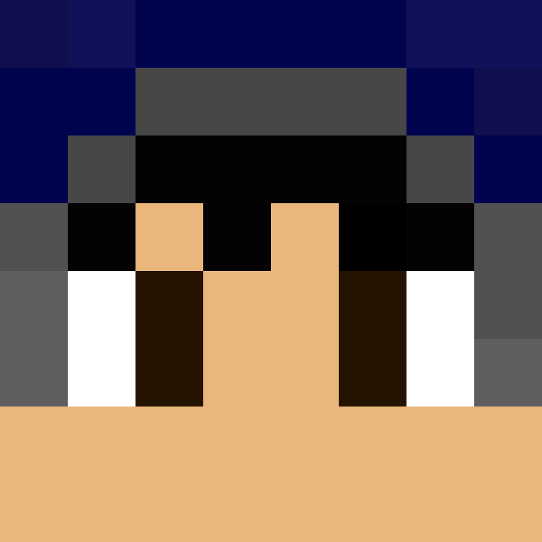 xX_No_Income_Xx's skin