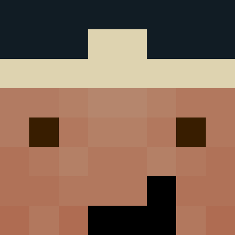 CeilingBird's skin