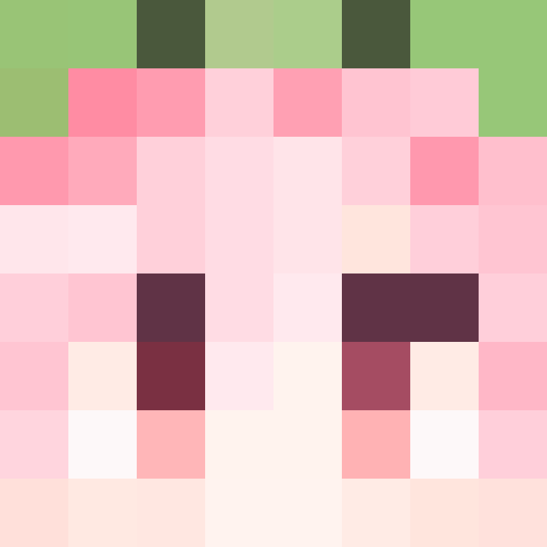 h4yl33's skin