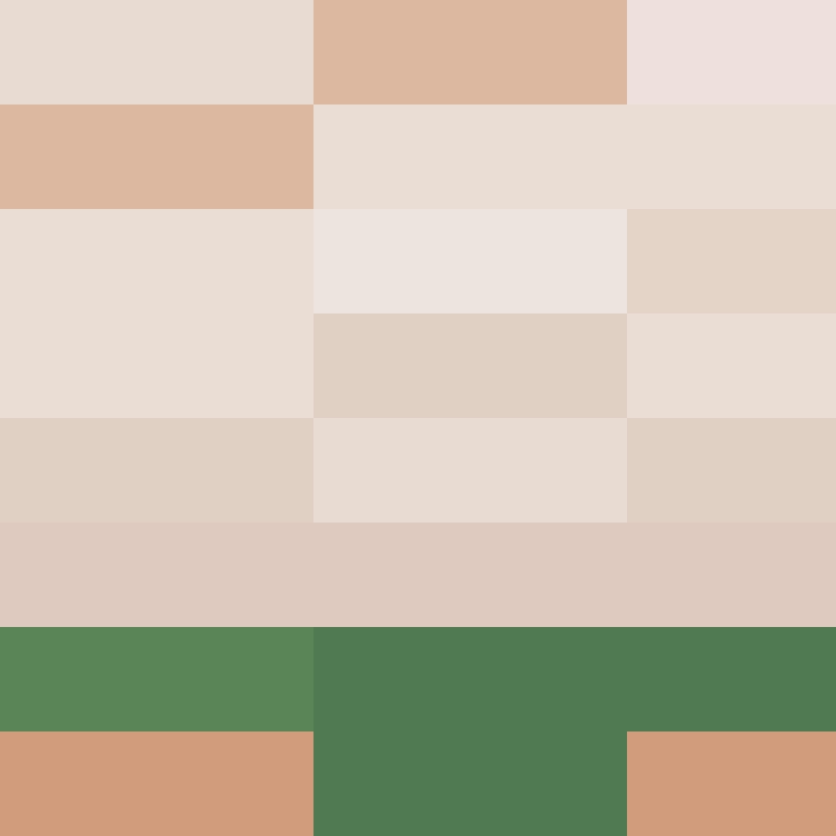 hannhums's skin
