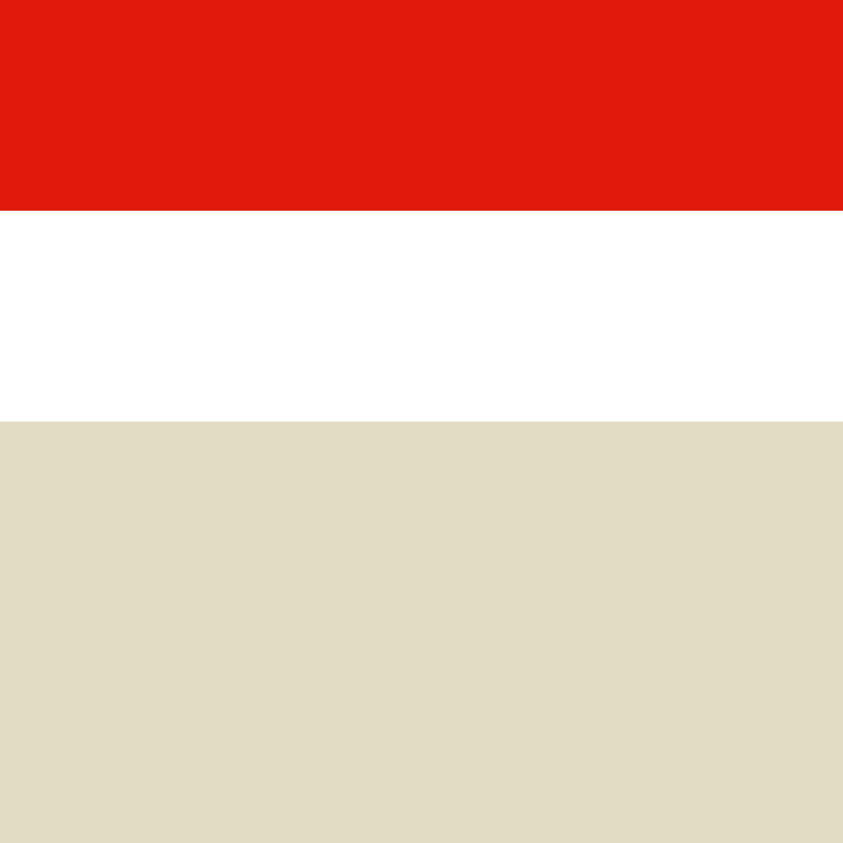 PatatjeMC's skin