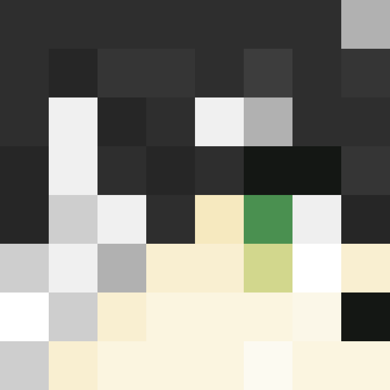 deminecrafterlol's skin