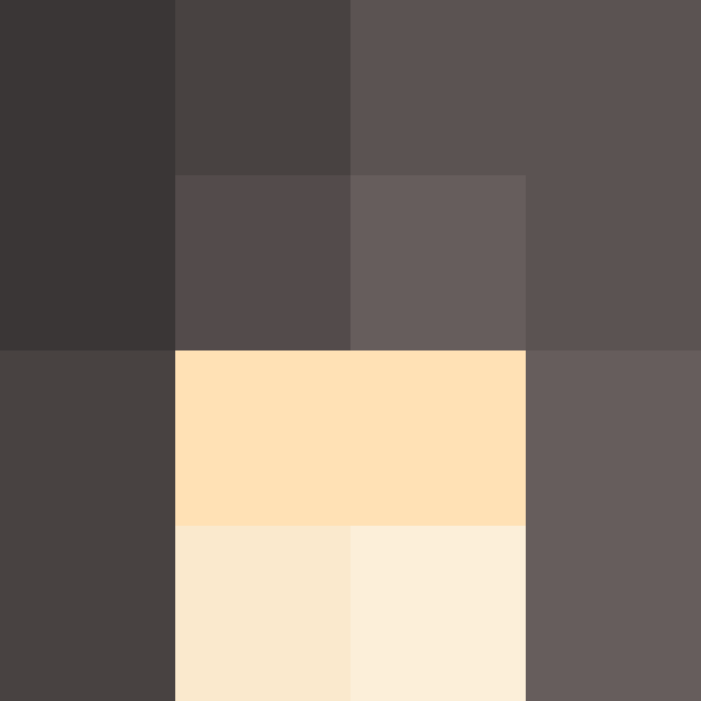 TheCuriousMiner's skin