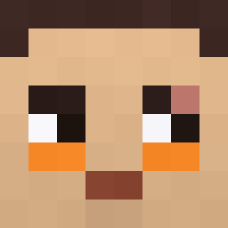 wiredframe's skin
