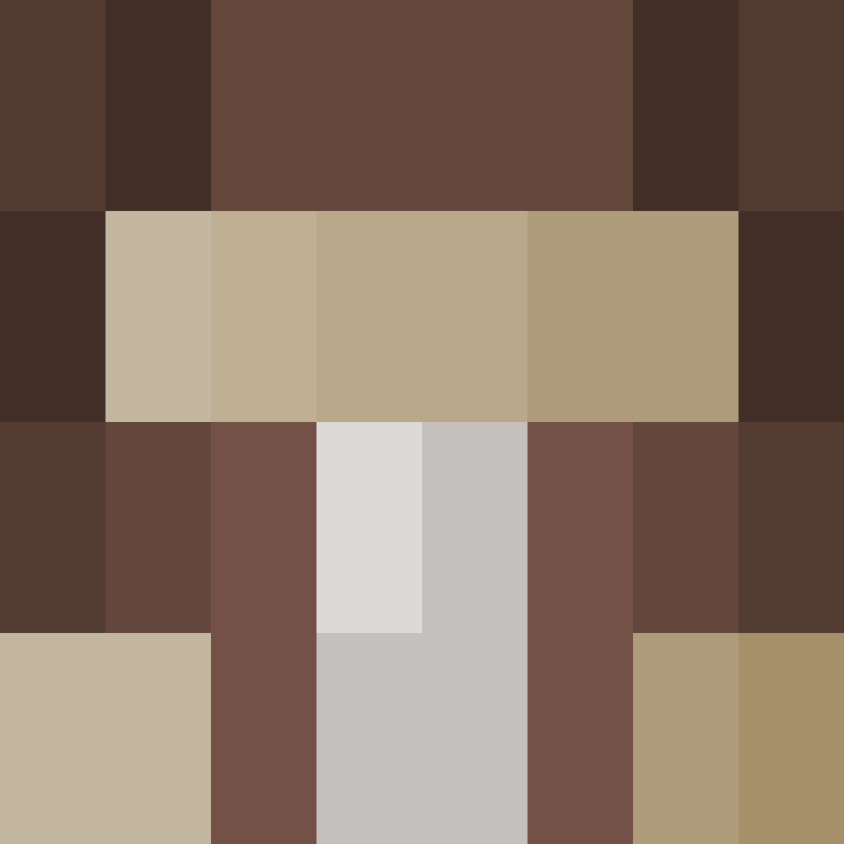 deminecrafterlol's skin
