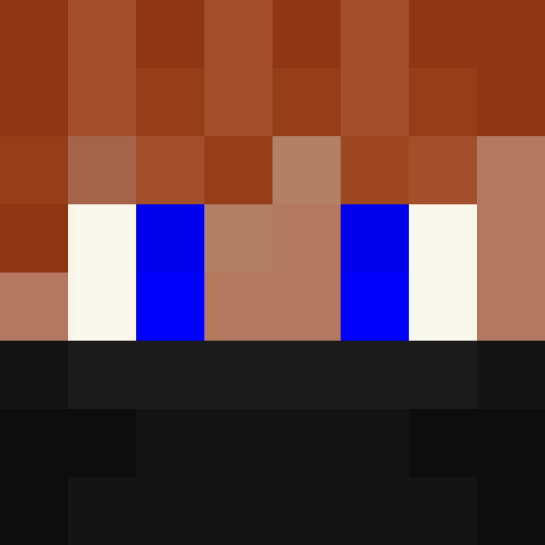 BukkitAPI's skin