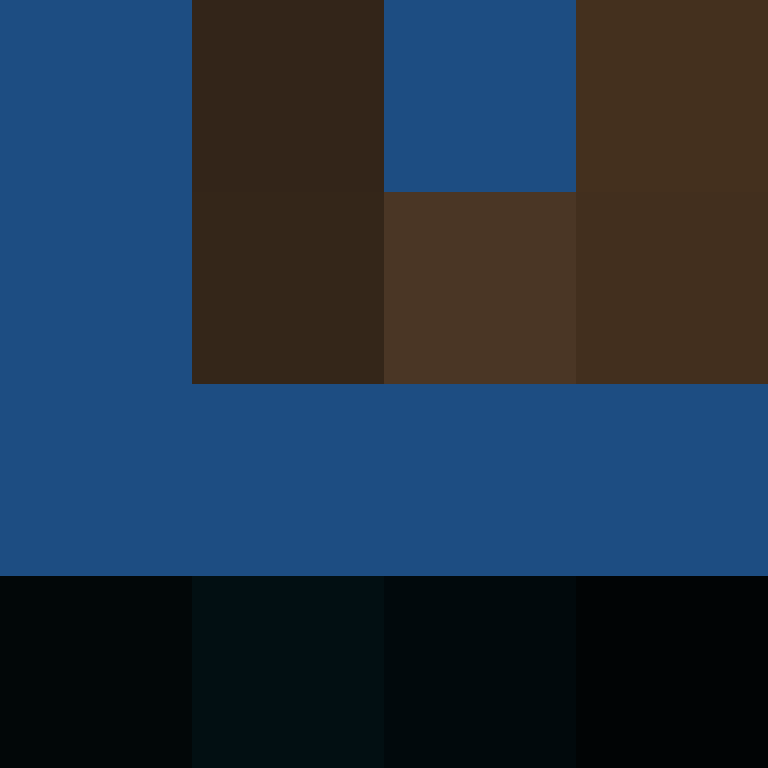CeilingBird's skin