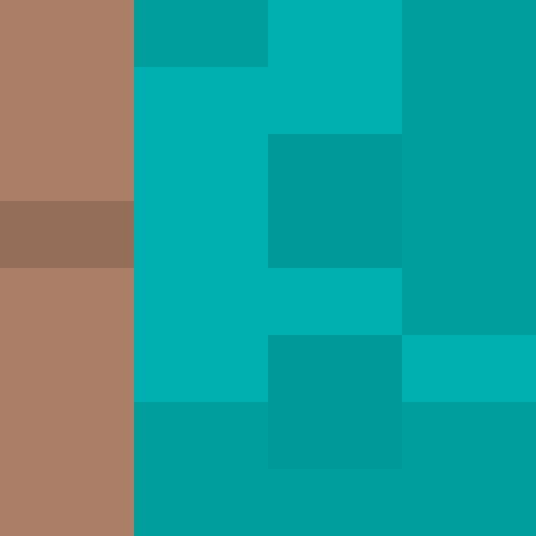 8aca680b22461340's skin