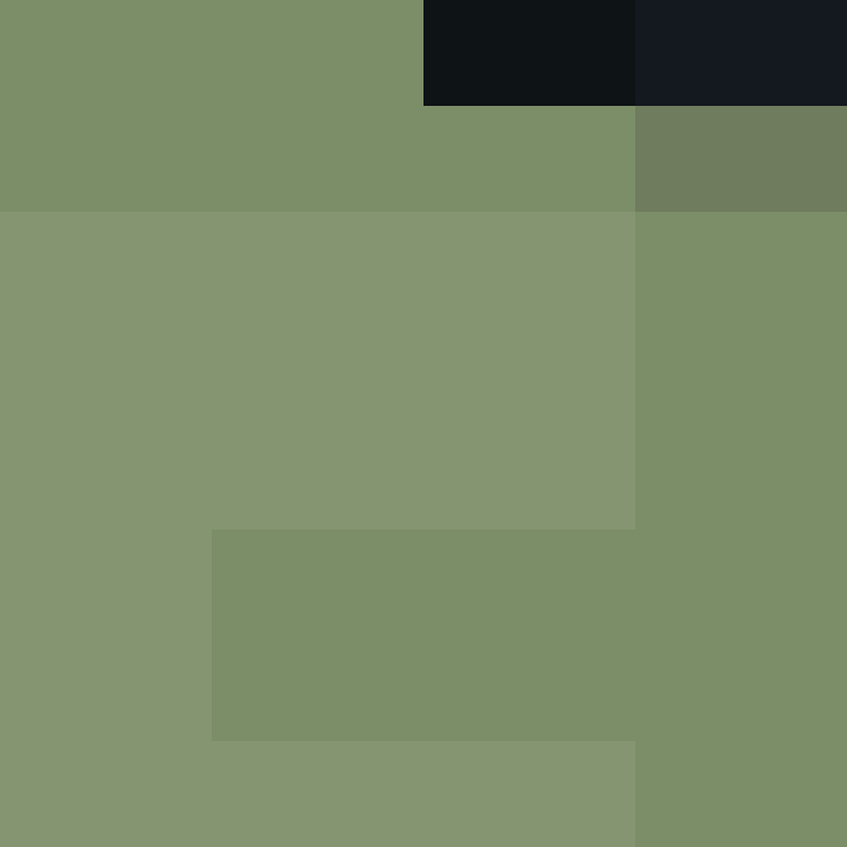 ZethrusTV's skin