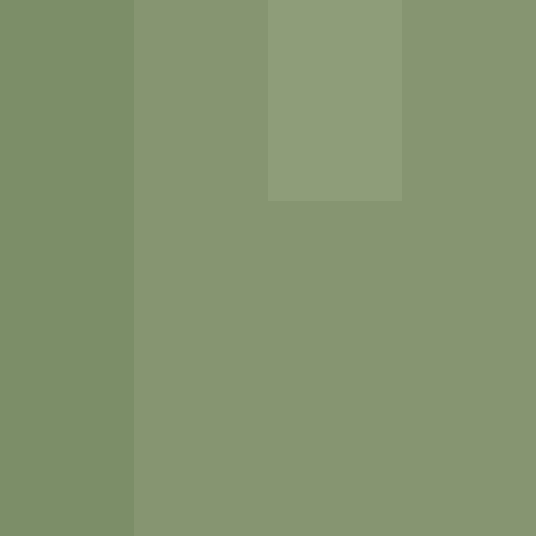 TheCuriousMiner's skin