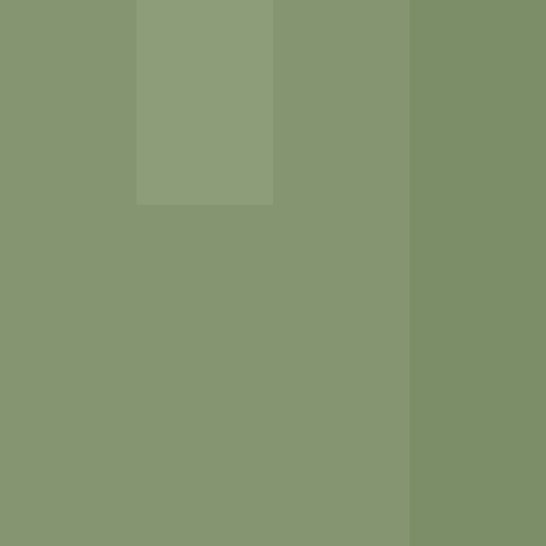 Teil0ss's skin