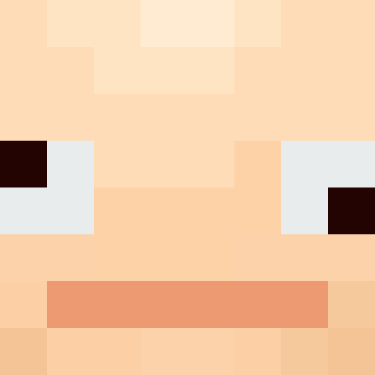 CeilingBird's skin