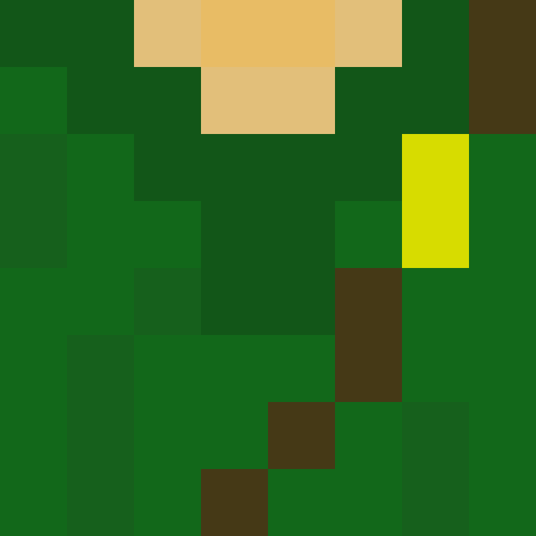 wiredframe's skin