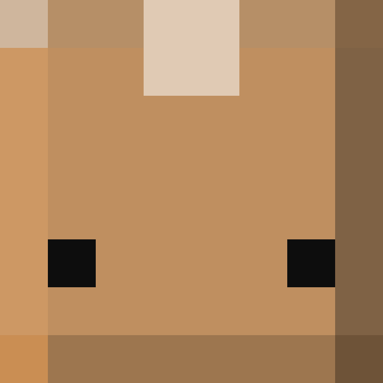 hannhums's skin