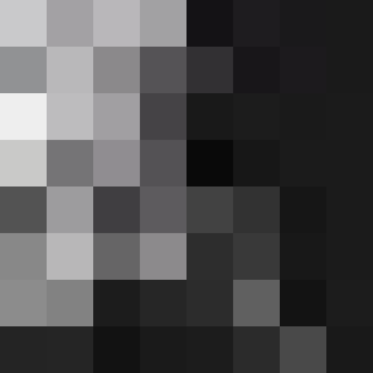 BukkitAPI's skin