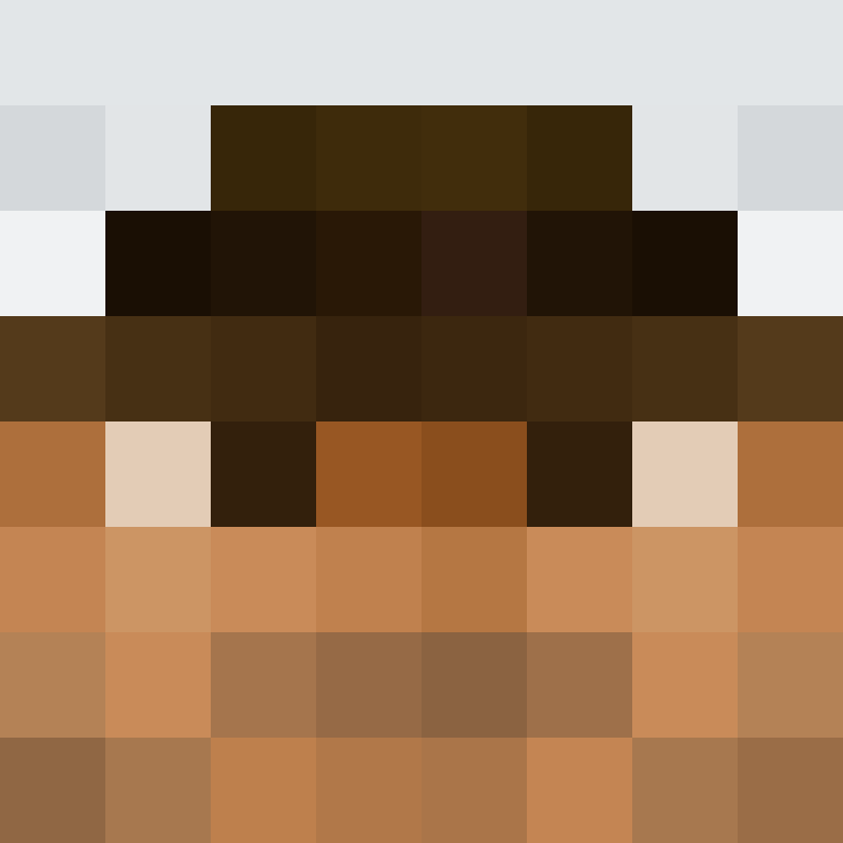 CeilingBird's skin