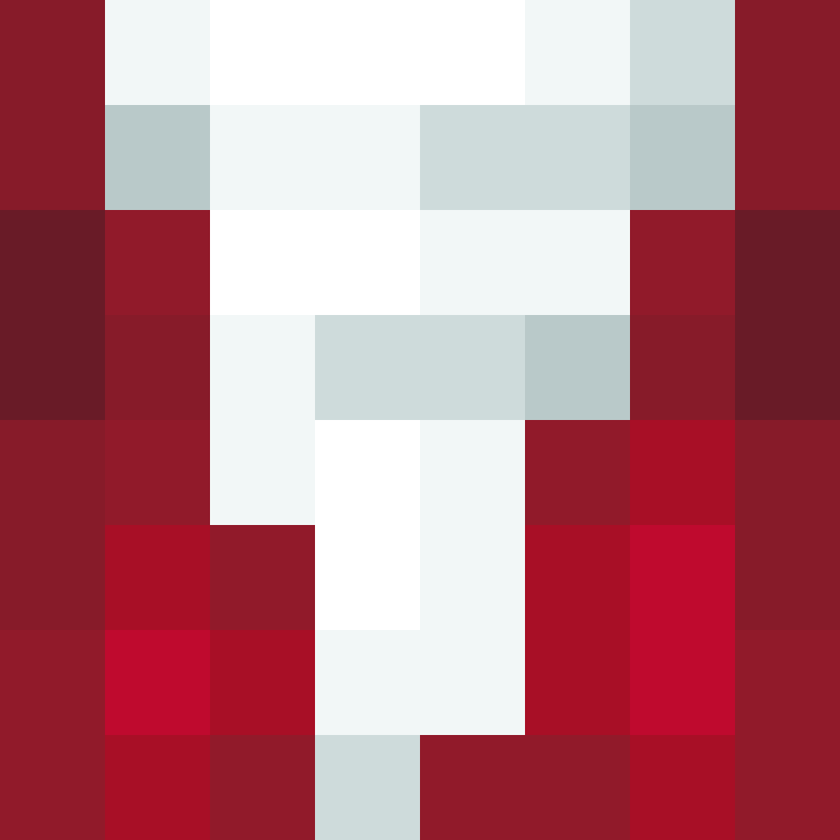 h4yl33's skin