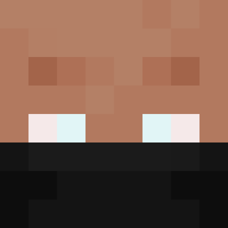 BukkitAPI's skin