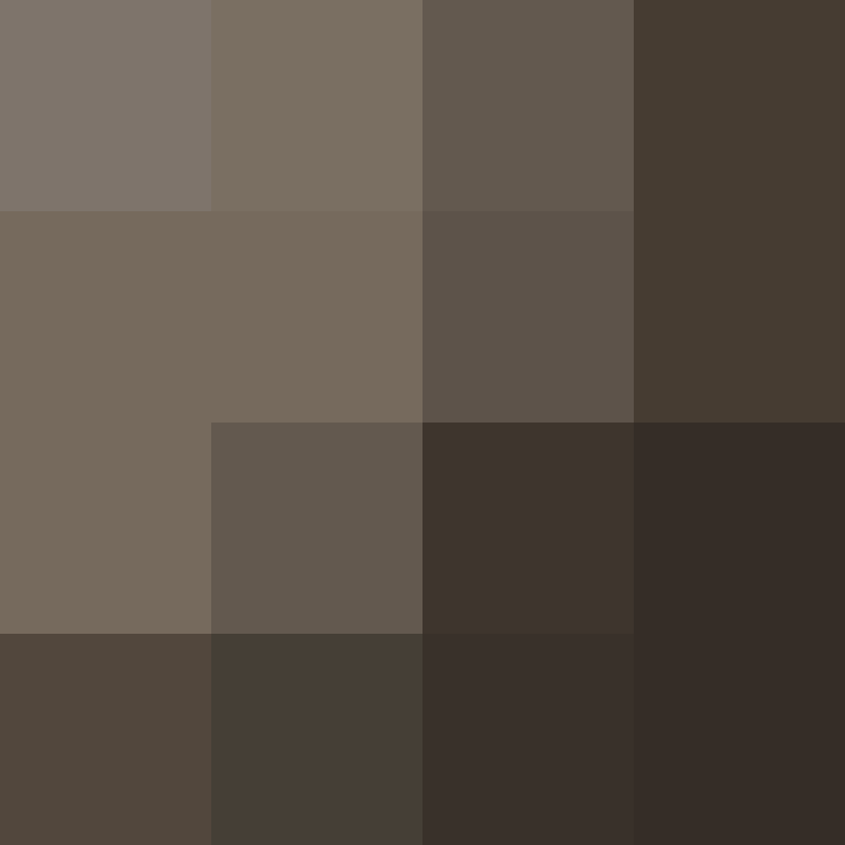 Lenticchie's skin