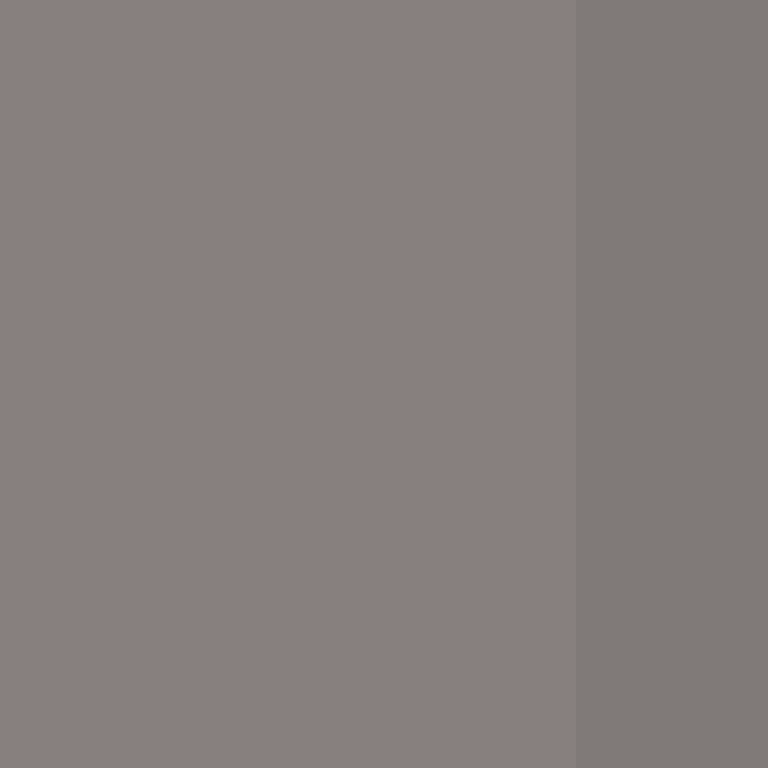 TheSilverDreams's skin