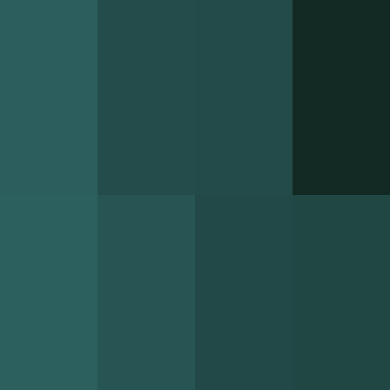 Notro_Client's skin