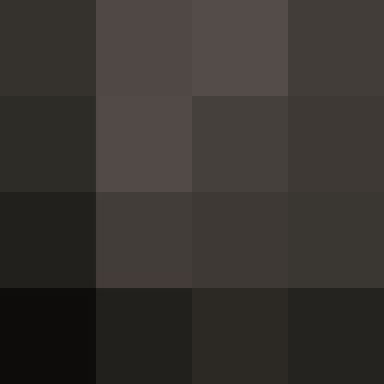 dragloner's skin