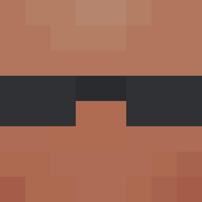 CeilingBird's skin