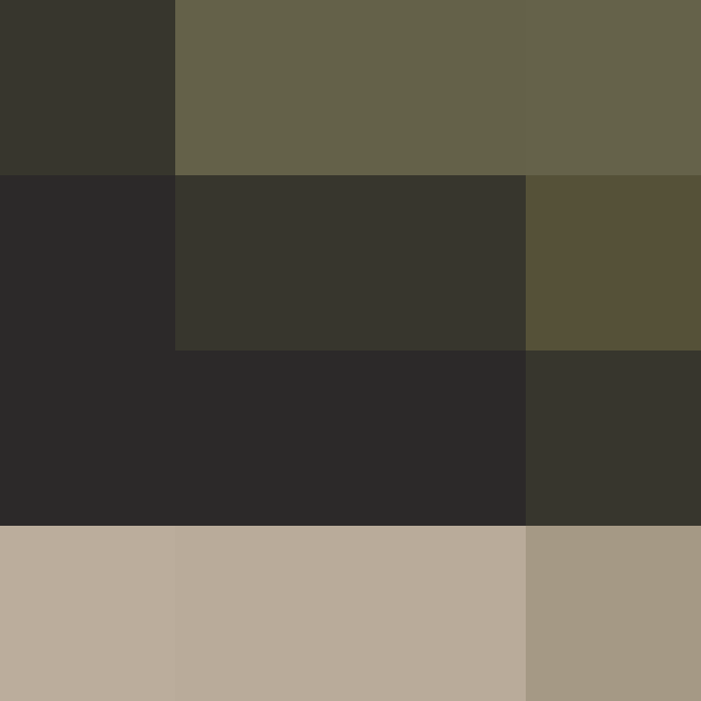 CrypticLoser13's skin