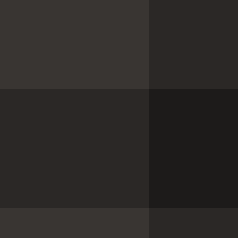 v4r1n's skin