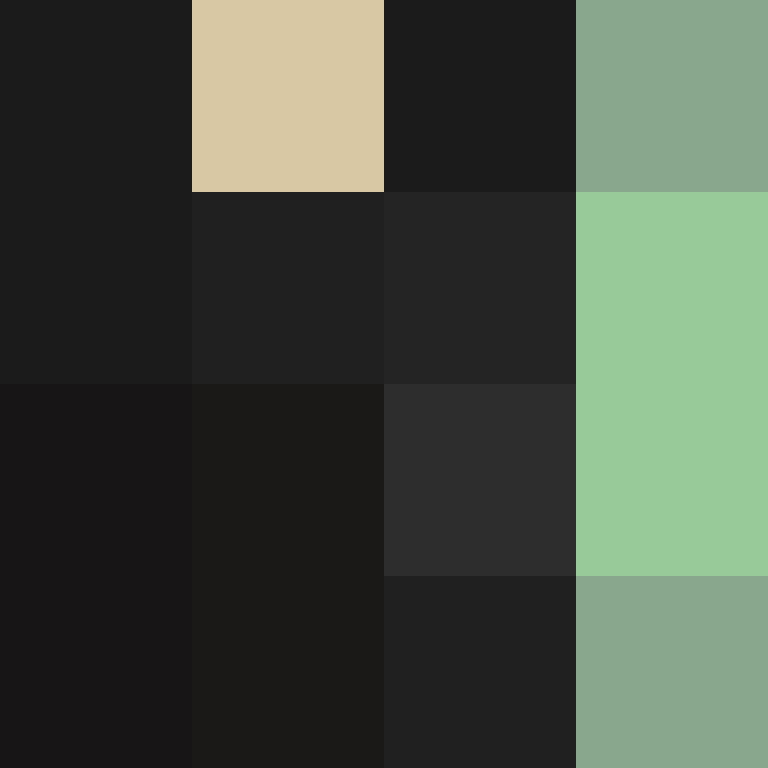 hpyef's skin