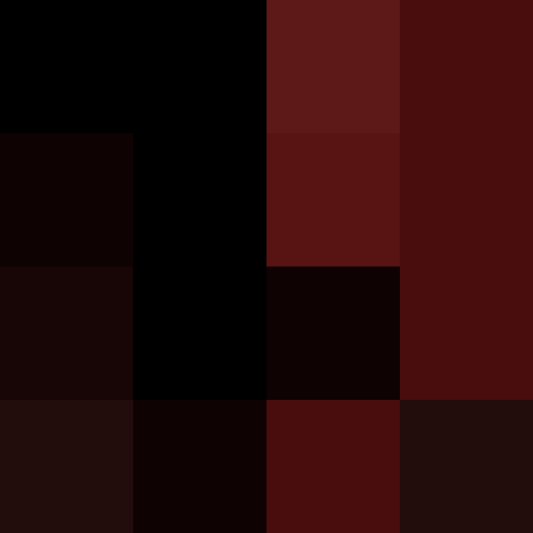 acin5's skin