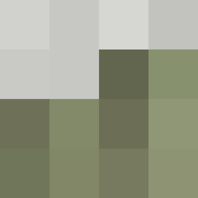 Dequari's skin