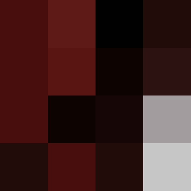 Cartizoll's skin