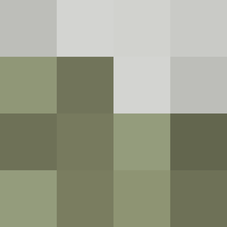 DonaldTrump42's skin
