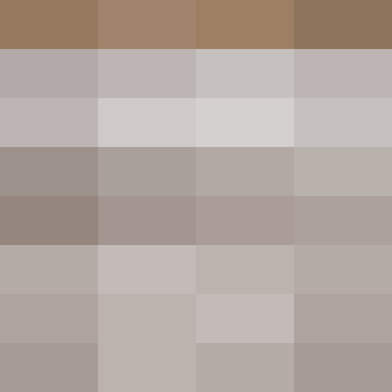 PtakopyskCZ's skin