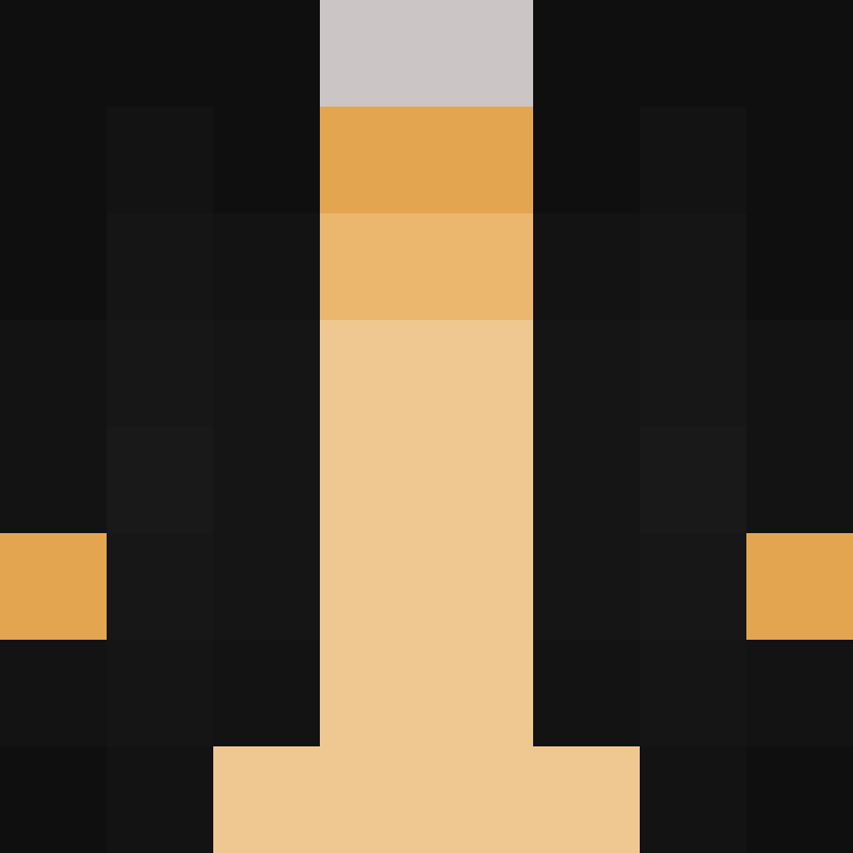 IAmSpadeFan's skin