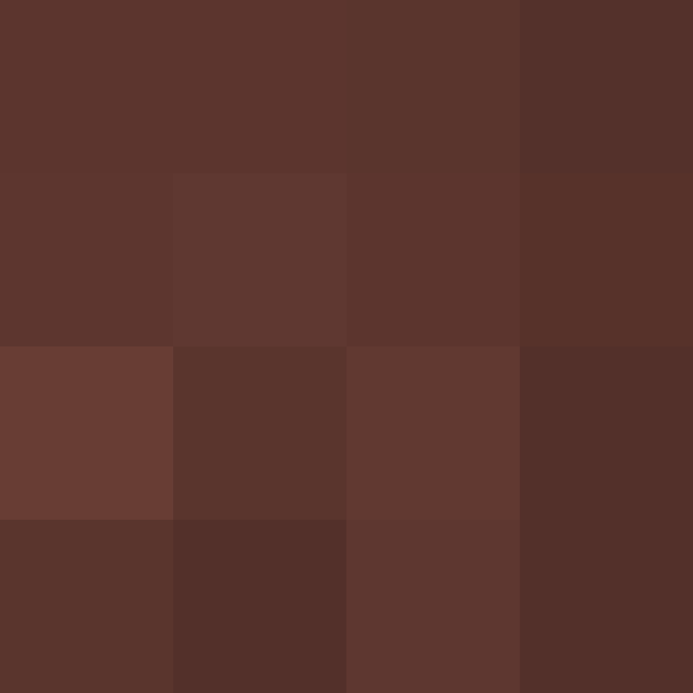 PtakopyskCZ's skin