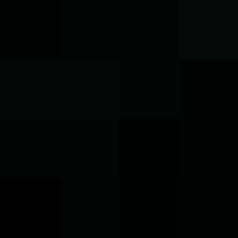 xentany's skin