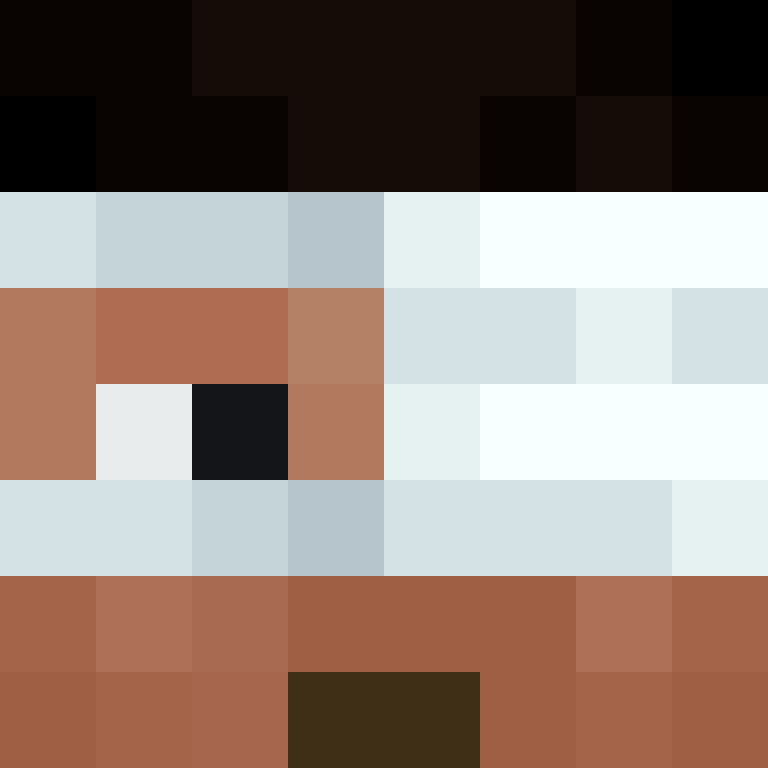 xX_No_Income_Xx's skin