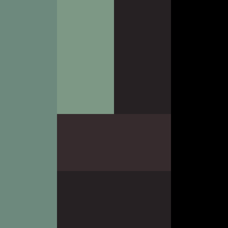 dragloner's skin