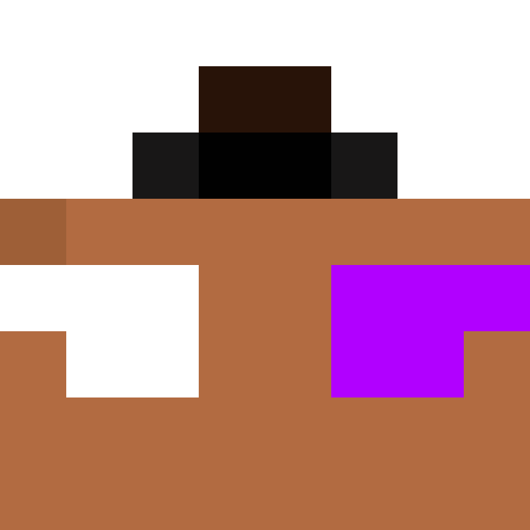 CeilingBird's skin