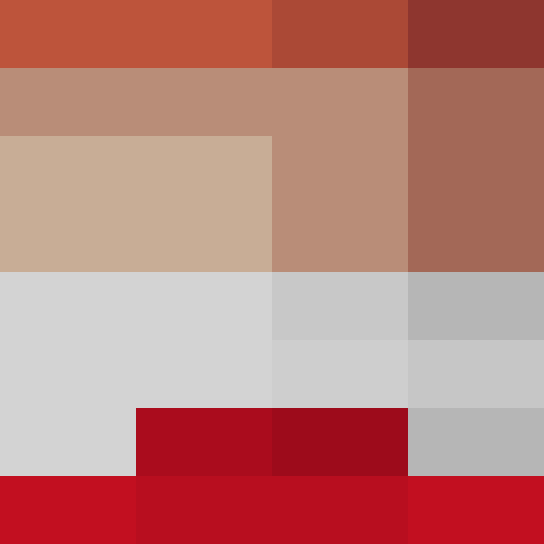 intersecato's skin