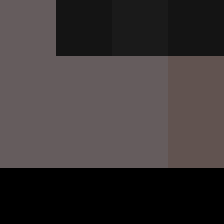 v4r1n's skin