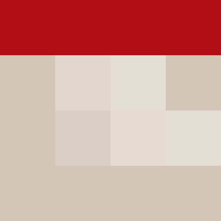 dragloner's skin