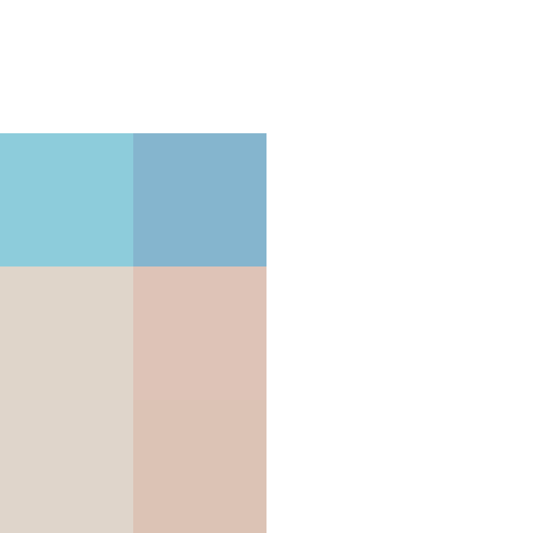 CeilingBird's skin