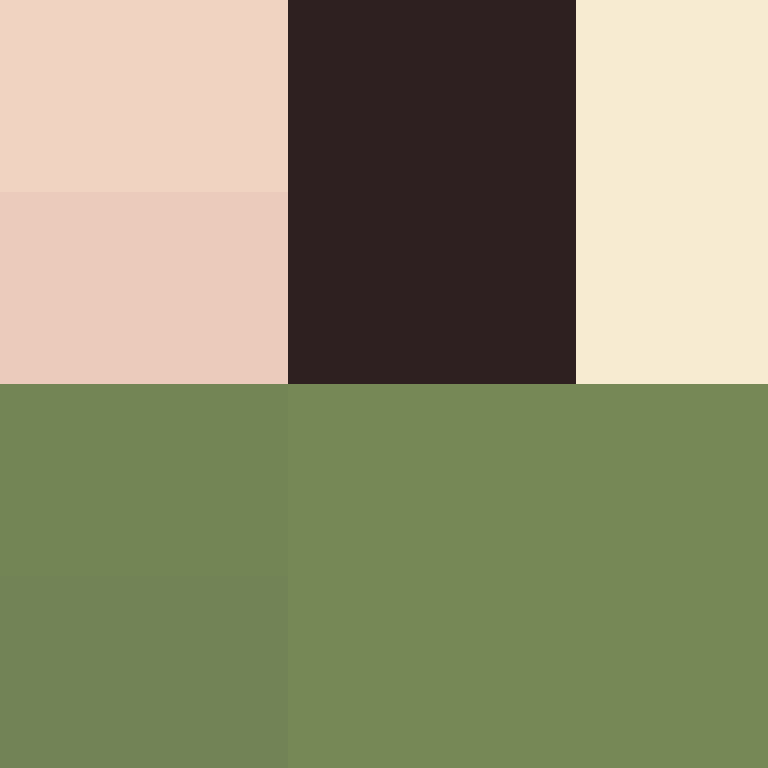 IAmSpadeFan's skin